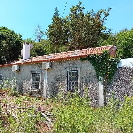Villa Retiro D'Azenha Almoster Esterno foto