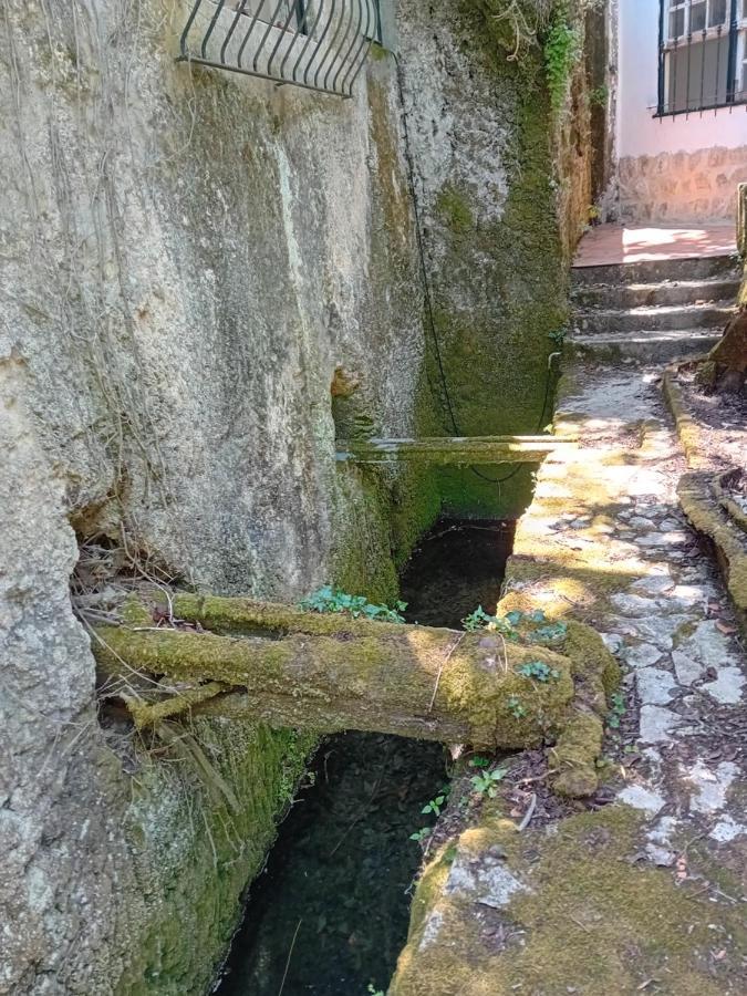 Villa Retiro D'Azenha Almoster Esterno foto