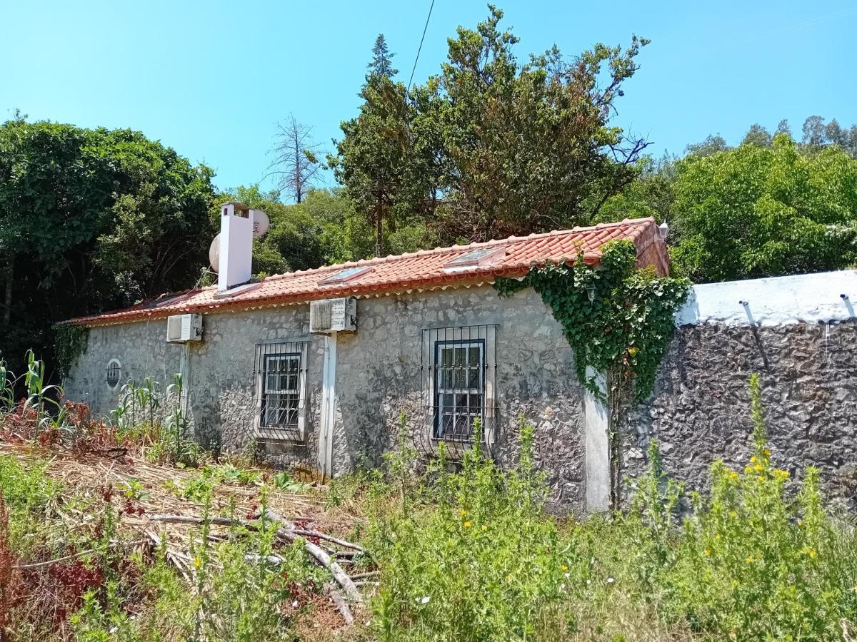 Villa Retiro D'Azenha Almoster Esterno foto