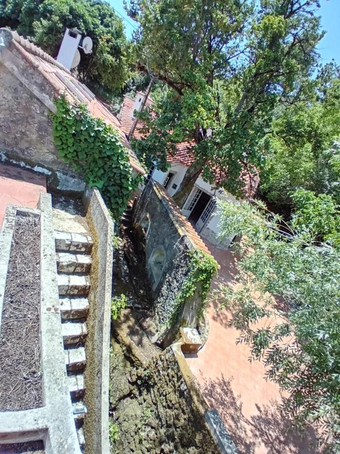 Villa Retiro D'Azenha Almoster Esterno foto